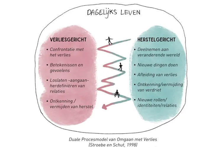 De herfst. De bomen laten hun bladeren los