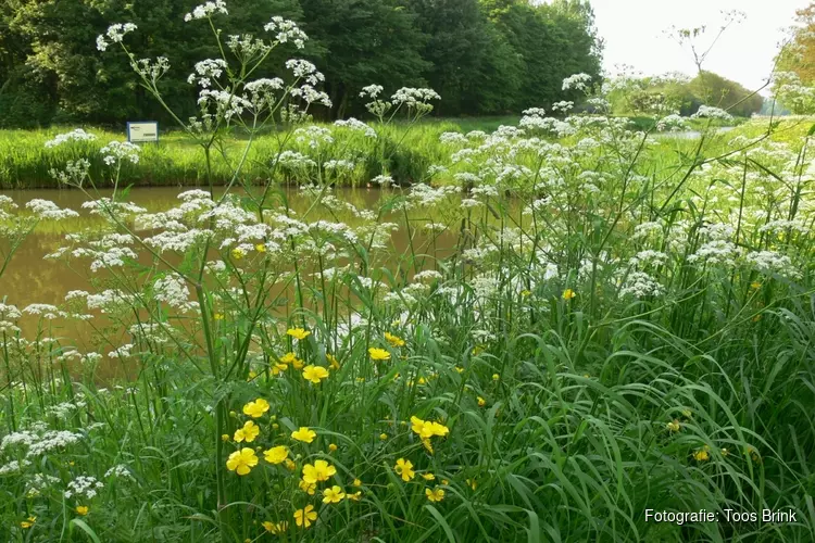 ‘Rollend’ de natuur in