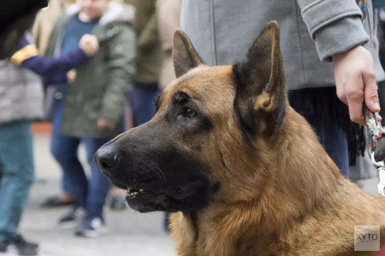 Kluisjescontrole op scholen in Stede Broec en Enkhuizen